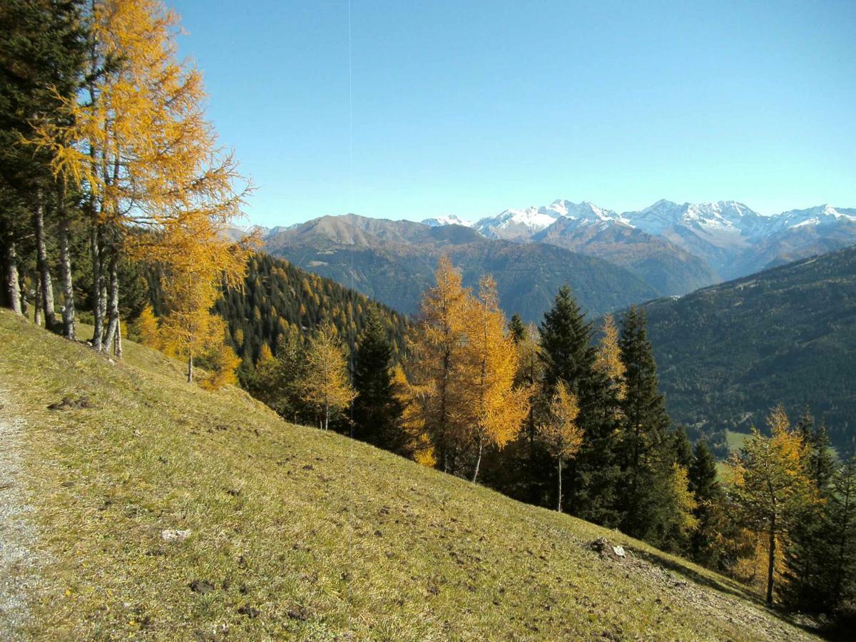 Apartament Jaeger Trins